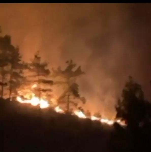 जंगलों की आग लगने के मामलों में तुर्की सबसे आगे है यह भूमध्यसागरीय देशों को भी प्रभावित करता है