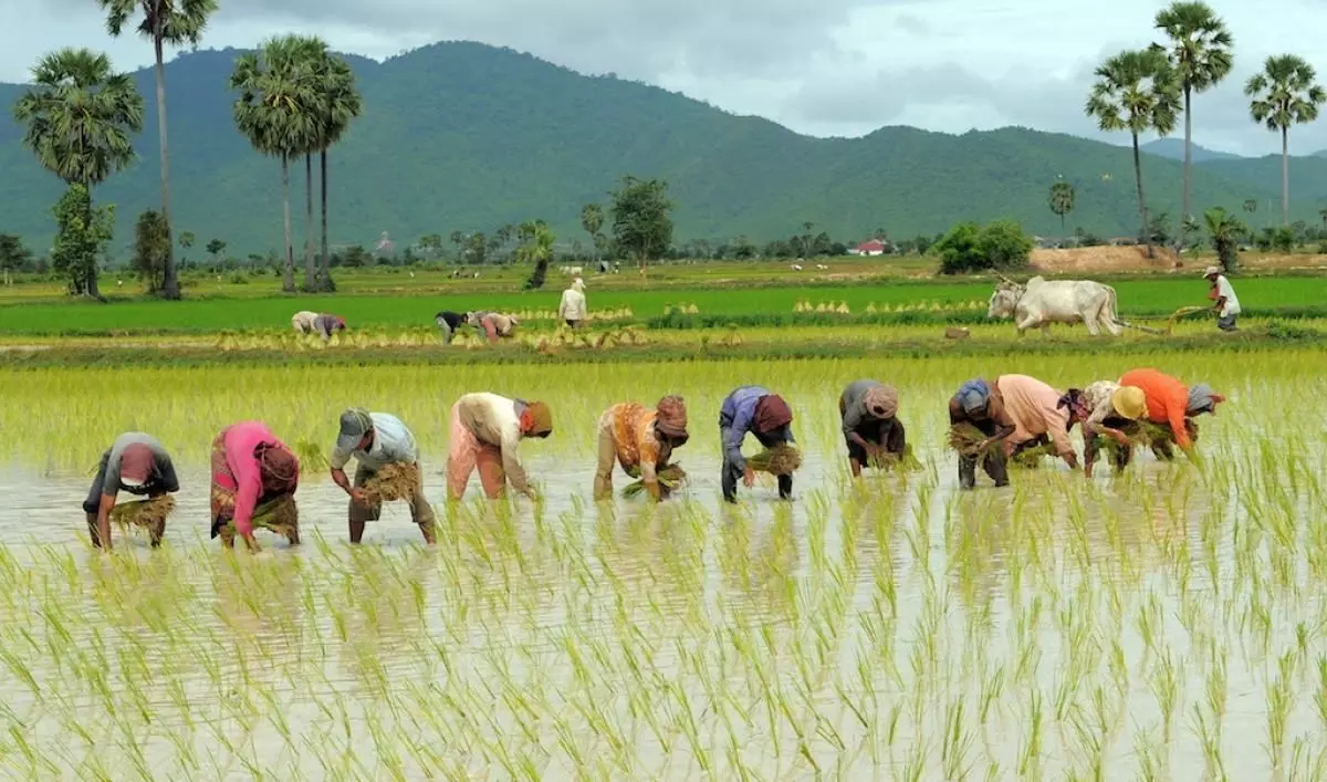 कविता: कृषक के मुखड़े पे मुस्कान छाई....दामिनी दिखाई है