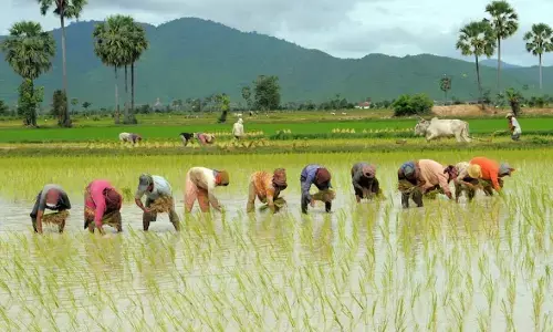कविता: कृषक के मुखड़े पे मुस्कान छाई....दामिनी दिखाई है कविता: कृषक के मुखड़े पे मुस्कान छाई....दामिनी दिखाई है