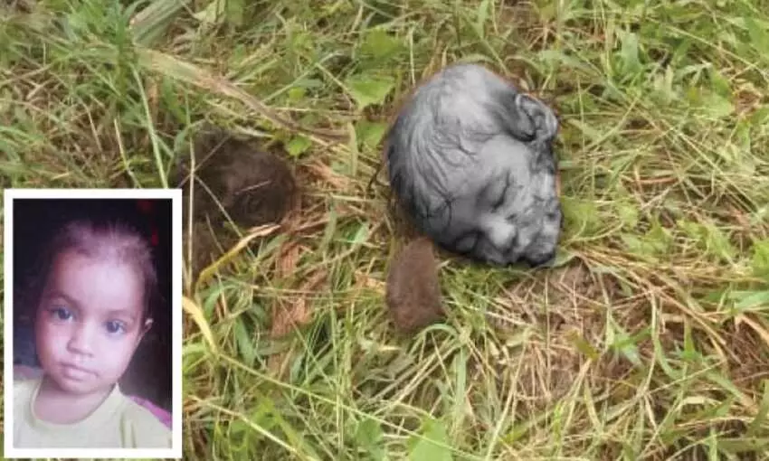 6 साल की बच्ची को जिंदा खा गया तेंदुआ, 12 घंटे बाद खेत में सिर्फ बच्ची का सिर मिला