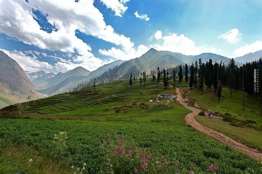 पाकिस्तान का मतलब क्या यात्रा संस्मरण भाग 3 - असग़र वजाहत
