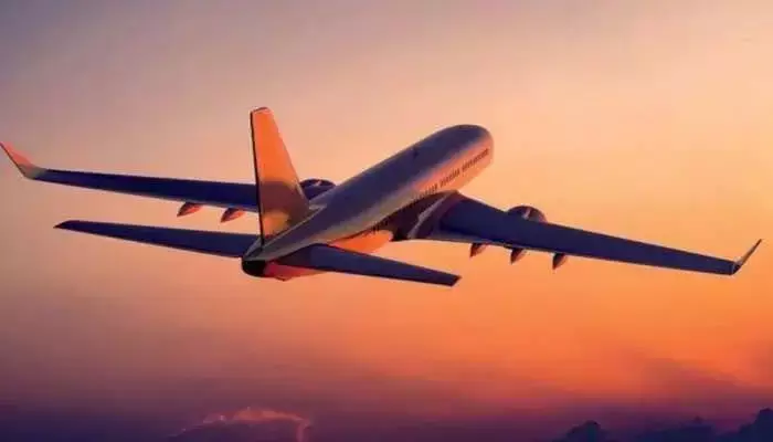 फ्लाइट के अंदर नंगा होकर घूमने लगा शख्स, महिला अटेंडेंट के साथ की छेड़खानी