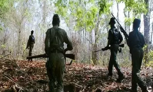 मध्य प्रदेश:पुलिस के हाथ लगी बड़ी कामयाबी,8 लाख के इनामी नक्सली को धर दबोचा मध्य प्रदेश:पुलिस के हाथ लगी बड़ी कामयाबी,8 लाख के इनामी नक्सली को धर दबोचा