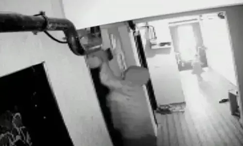 बेबस माँ के सामने मासूम की कुचलकर मौत, कुछ नहीं कर सकी