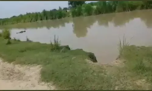 अज्ञात युवती की हत्याकर शव को जलाकर फेंका अज्ञात युवती की हत्याकर शव को जलाकर फेंका