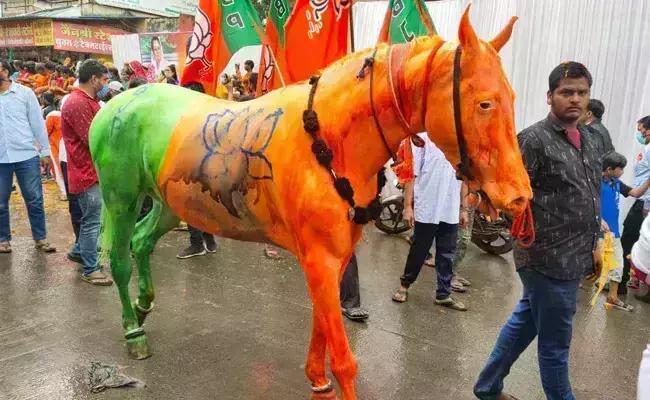 जन आशीर्वाद यात्रा के दौरान घोड़े को भाजपा झंडे के रंग में रंगा,पशु क्रूरता का मामला दर्ज जन आशीर्वाद यात्रा के दौरान घोड़े को भाजपा झंडे के रंग में रंगा,पशु क्रूरता का मामला दर्ज