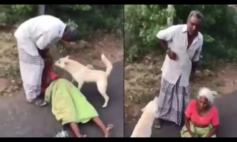 इंसान से ज्यादा कुत्ता निकला बफादार,कलयुगी बेटे से माँ की बचाई जान,देखे ये वीडियो