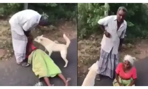 इंसान से ज्यादा कुत्ता निकला बफादार,कलयुगी बेटे से माँ की बचाई जान,देखे ये वीडियो इंसान से ज्यादा कुत्ता निकला बफादार,कलयुगी बेटे से माँ की बचाई जान,देखे ये वीडियो