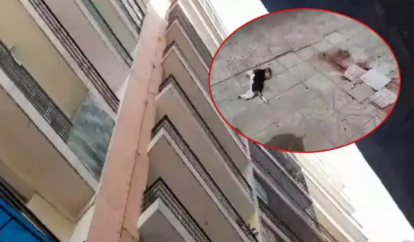 दर्दनाक : गाजियाबाद में पालतू कुत्ते को बचाने की कोशिश में 9वीं मंजिल से गिरी 12 साल की बच्ची, दोनों की मौत