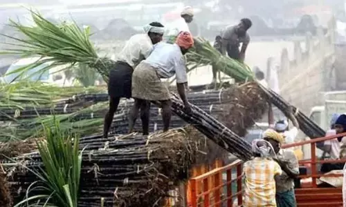 गन्ना किसानों को केंद्र सरकार का तोहफा : गन्ने का मूल्य 290 रुपये प्रति कुंतल किया गया.. गन्ना किसानों को केंद्र सरकार का तोहफा : गन्ने का मूल्य 290 रुपये प्रति कुंतल किया गया..