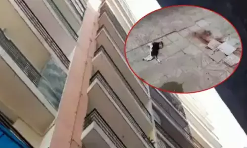 दर्दनाक : गाजियाबाद में पालतू कुत्ते को बचाने की कोशिश में 9वीं मंजिल से गिरी 12 साल की बच्ची, दोनों की मौत दर्दनाक : गाजियाबाद में पालतू कुत्ते को बचाने की कोशिश में 9वीं मंजिल से गिरी 12 साल की बच्ची, दोनों की मौत