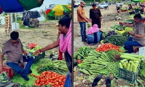 सड़क के किनारे बैठकर सब्जी बेच रहे IAS अधिकारी की फोटो वायरल, फिर खुद बताई क्या है सच्चाई सड़क के किनारे बैठकर सब्जी बेच रहे IAS अधिकारी की फोटो वायरल, फिर खुद बताई क्या है सच्चाई