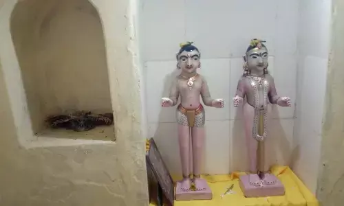 यूपी: ठाकुरद्वारा से बेशकीमती श्रीकृष्ण व राधा जी की मूर्तियां चोरी