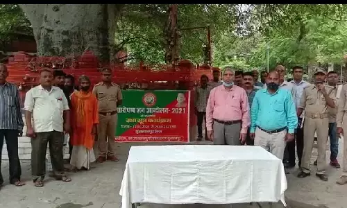 पेड़ो को राखी बांध,वन विभाग ने की अनोखी पहल पेड़ो को राखी बांध,वन विभाग ने की अनोखी पहल