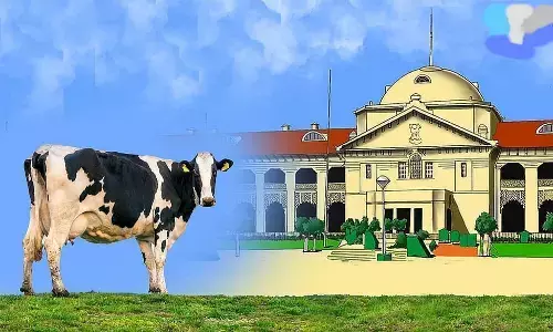 गायों की हालत को लेकर इलाहाबाद हाईकोर्ट का बड़ा फैसला.. गायों की हालत को लेकर इलाहाबाद हाईकोर्ट का बड़ा फैसला..