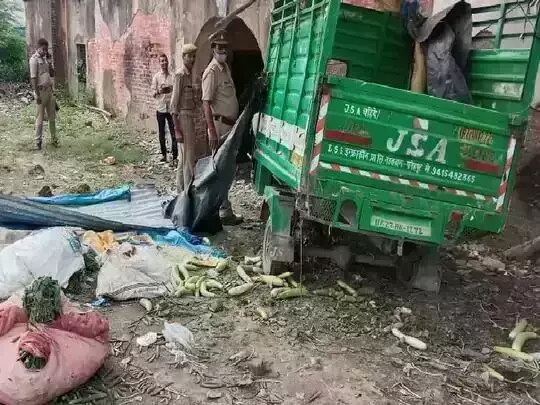 सड़क दुर्घटना में दो किसानों की हुई दर्दनाक मौत, 3 घायल सड़क दुर्घटना में दो किसानों की हुई दर्दनाक मौत, 3 घायल