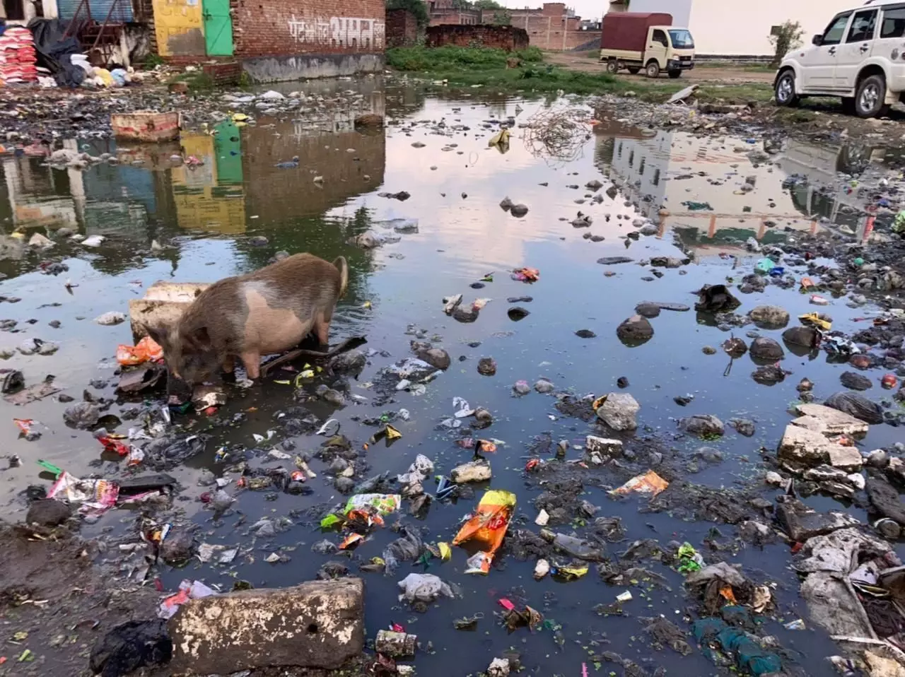 कोरोना के तीसरी लहर से जंग लड़ने से पहले ही राजातालाब में डेंगू फैलने का खतरा ज़्यादा