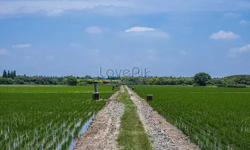क्या चचा आज कल बहुत चौड़िया रहे है, अमां बिल्कुल टोपा हो का..... क्या चचा आज कल बहुत चौड़िया रहे है, अमां बिल्कुल टोपा हो का.....