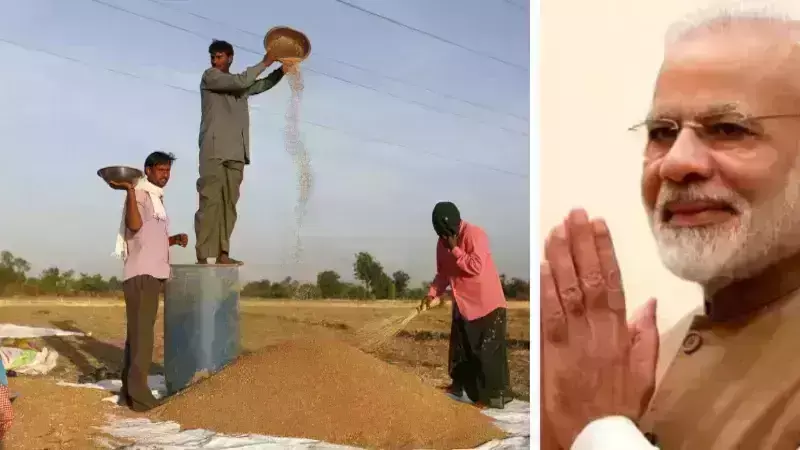 गेहूं और सरसों समेत 6 फसलों के MSP में हुई बढ़ोतरी,ये होंगी नई कीमत