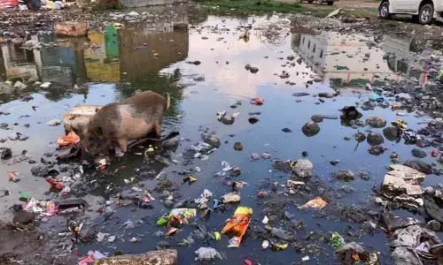 कोरोना के तीसरी लहर से जंग लड़ने से पहले ही राजातालाब में डेंगू फैलने का खतरा ज़्यादा