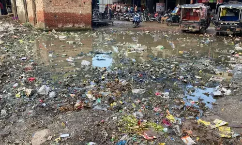 दिल्ली में डेंगू का कहर बरकरार, एक हफ्ते में सामने आए 10 केस