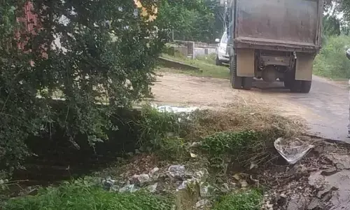 गांव के विकास को दीमक की तरह चाट रहे हैं भ्रष्ट ग्राम पंचायत अधिकारी गांव के विकास को दीमक की तरह चाट रहे हैं भ्रष्ट ग्राम पंचायत अधिकारी