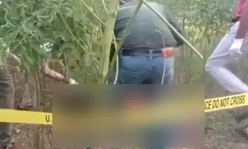 मथुरा में सिर में गोली मारकर महिला की हत्या, खेतों में शव फेंक फरार हुए आरोपी मथुरा में सिर में गोली मारकर महिला की हत्या, खेतों में शव फेंक फरार हुए आरोपी