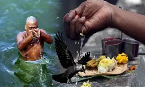 जानिए कब से शुरू हो रहे हैं पितृ पक्ष, पितृ दोष में अवश्य करें श्राद्ध, जानें श्राद्ध में कौओं का महत्त्व? जानिए कब से शुरू हो रहे हैं पितृ पक्ष, पितृ दोष में अवश्य करें श्राद्ध, जानें श्राद्ध में कौओं का महत्त्व?