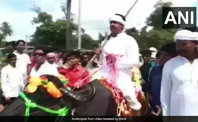 बिहार पंचायत चुनाव: नेताजी भैंस पर बैठकर नोमिनेशन फाइल भरने पहुंचे, वीडियो वायरल बिहार पंचायत चुनाव: नेताजी भैंस पर बैठकर नोमिनेशन फाइल भरने पहुंचे, वीडियो वायरल