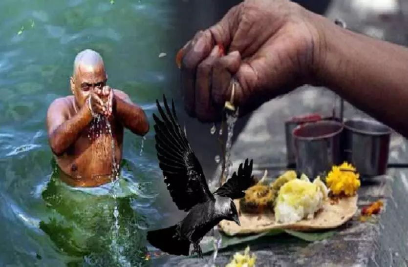 पितृ पक्ष में घर पर ऐसे दें पितरों को तर्पण, जानें पूजा की सही विधि पितृ पक्ष में घर पर ऐसे दें पितरों को तर्पण, जानें पूजा की सही विधि