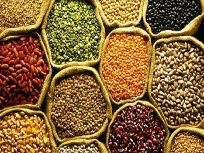 देशभर में जमाखोरी के 6244 हुए केस दर्ज, सर्वाधिक यूपी में हुए दर्ज, पढ़िए NCRB की ये रिपोर्ट देशभर में जमाखोरी के 6244 हुए केस दर्ज, सर्वाधिक यूपी में हुए दर्ज, पढ़िए NCRB की ये रिपोर्ट