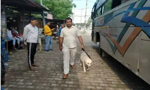 चलती बस में किशोरी से रेप, बस को रोककर फोरेंसिक यूनिट और डाग स्क्वायड की टीम ने की जांच, पुलिस हिरासत में ड्राइवर चलती बस में किशोरी से रेप, बस को रोककर फोरेंसिक यूनिट और डाग स्क्वायड की टीम ने की जांच, पुलिस हिरासत में ड्राइवर