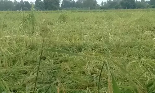 उत्तर प्रदेश: किसान की हालत और व्यवस्था के दावे!