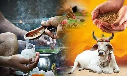 ऐसे करें पितरों की विदाई ऐसे करें पितरों की विदाई