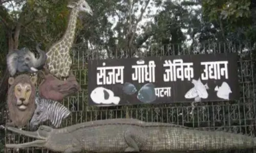 आज से मुफ्त में करें पटना जू की सैर, टूरिस्ट गैंडों के साथ ले सकेंगे सेल्फी आज से मुफ्त में करें पटना जू की सैर, टूरिस्ट गैंडों के साथ ले सकेंगे सेल्फी