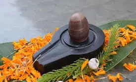 इन 10 चीजों में से कोई 1 चीज करें शिवलिंग पर अर्पित, मिलेगा भोलेनाथ का आर्शीवाद इन 10 चीजों में से कोई 1 चीज करें शिवलिंग पर अर्पित, मिलेगा भोलेनाथ का आर्शीवाद