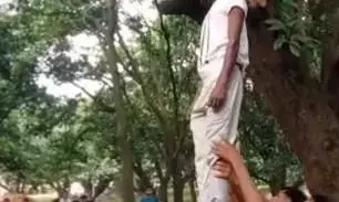 पेड़ पर लाश देख हैरान हुए लोग पेड़ पर लाश देख हैरान हुए लोग