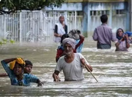 ग्रीन रिकवरी के लिए भारत में टास्क फ़ोर्स का गठन ज़रूरी ग्रीन रिकवरी के लिए भारत में टास्क फ़ोर्स का गठन ज़रूरी