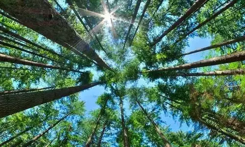 17 साल से कार के अंदर एकांत जीवन जी रहा ये शख्स, कहानी सुनकर हैरान रह जायेंगे