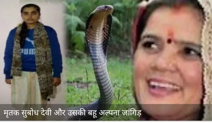 प्रेमी जोड़े की साजिश से सुप्रीमकोर्ट भी हैरान, सांप से डसवा कर किया सास का क़त्ल प्रेमी जोड़े की साजिश से सुप्रीमकोर्ट भी हैरान, सांप से डसवा कर किया सास का क़त्ल