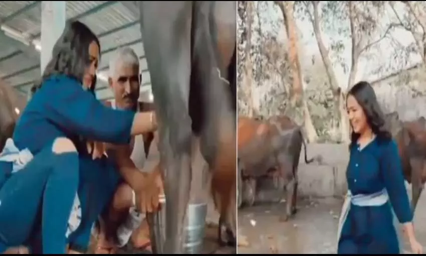 भैंस का दूध निकालते हुई नज़र आई सिंगर नेहा कक्कड़, देखें ये वायरल विडियो