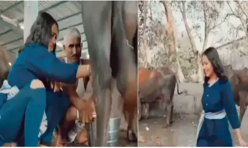 भैंस का दूध निकालते हुई नज़र आई सिंगर नेहा कक्कड़, देखें ये वायरल विडियो भैंस का दूध निकालते हुई नज़र आई सिंगर नेहा कक्कड़, देखें ये वायरल विडियो