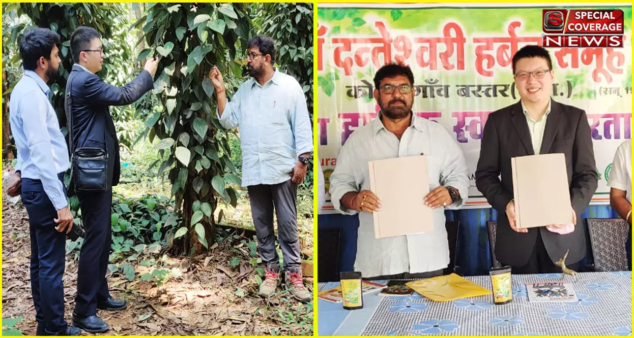 ताइवान के उच्चाधिकारी पहुंचे मां दंतेश्वरी हर्बल कोंडागांव, मिलकर करेंगे काम- एमओयू पर बनी सहमति ताइवान के उच्चाधिकारी पहुंचे मां दंतेश्वरी हर्बल कोंडागांव, मिलकर करेंगे काम- एमओयू पर बनी सहमति
