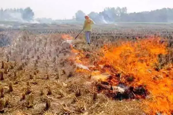 पंजाब: सब्सिडी नहीं मिलने पर किसान पराली जलाने को हुए मजबूर
