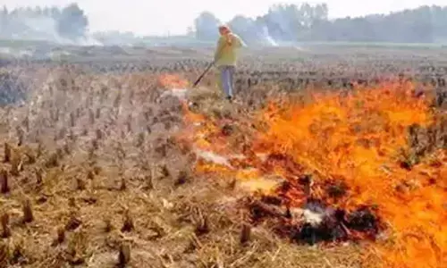 पंजाब: सब्सिडी नहीं मिलने पर किसान पराली जलाने को हुए मजबूर पंजाब: सब्सिडी नहीं मिलने पर किसान पराली जलाने को हुए मजबूर