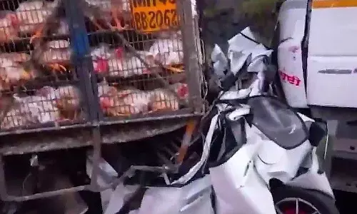 पुणे-मुंबई एक्सप्रेसवे पर भयावह हदसा: एक साथ टकराई 6 गाड़ियां, 3 की मौत, ट्रक-ट्रेलर के बीच आई कार बुरी तरह पिचकी