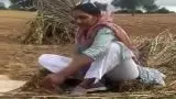 महिला विधायक का खेत का हुआ वीडियो वायरल