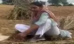 महिला विधायक का खेत का हुआ वीडियो वायरल