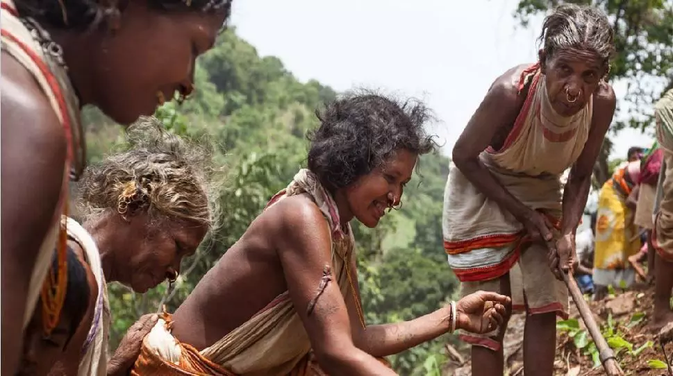 संसदीय लोकतंत्र में आदिवासी हस्तक्षेप और योगदान के शताब्दी वर्ष पर एक दिवसीय राष्ट्रीय सेमिनार का होगा आयोजन