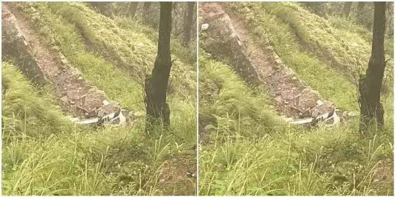 उत्तराखंड में दर्दनाक हादसा, अनियंत्रित होकर खाई में गिरी ऑल्टो कार , दो लोगों की मौत